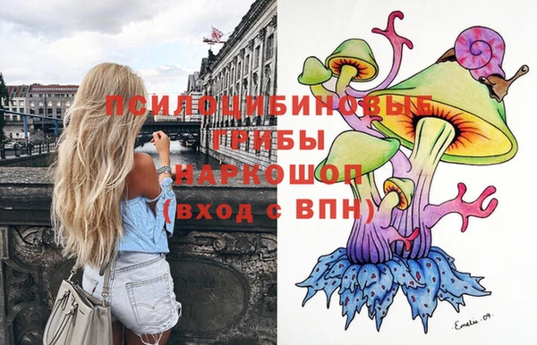 дмт Алзамай