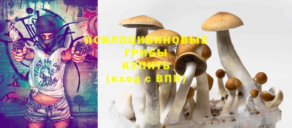 дмт Алзамай