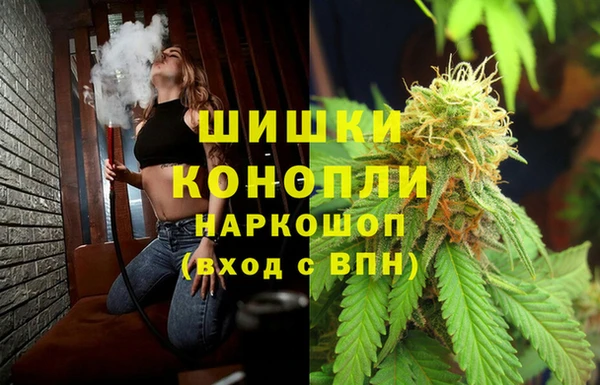 крисы Пестово