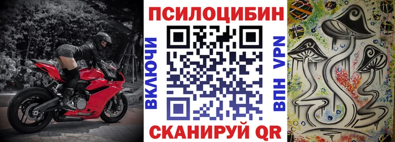 Псилоцибиновые грибы прущие грибы  Могоча 